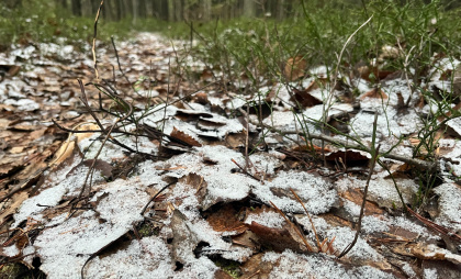 В Коми установились зимние морозы: на севере до -27 градусов, пока на юге лишь легкий минус