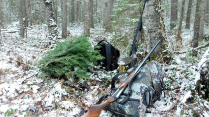 В Коми за неделю изъяли 57 охотничьих ружей