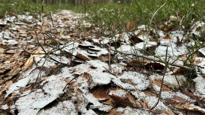 Метеопредупреждение синоптиков: 21 апреля Коми ждет резкий перепад температур